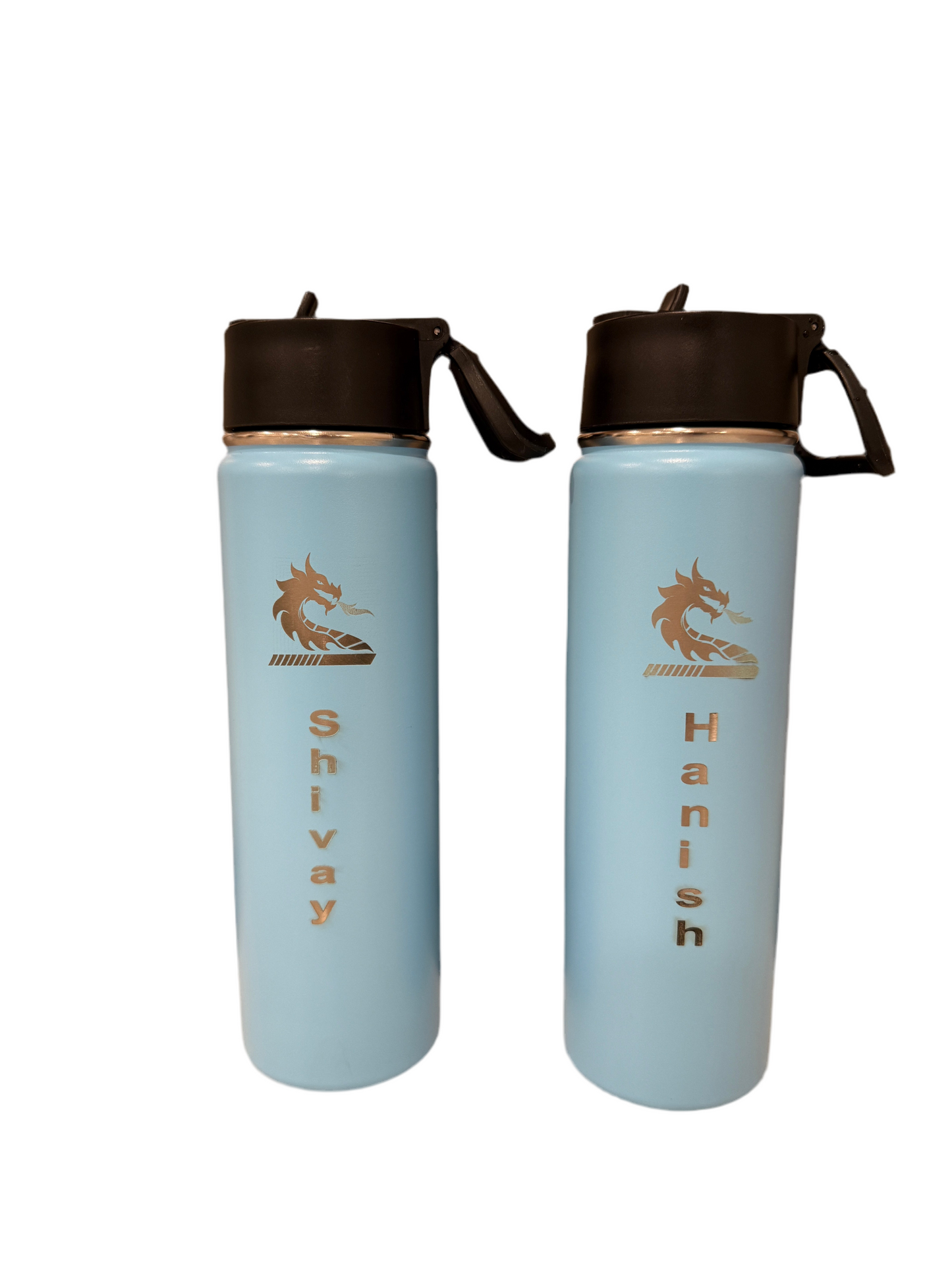 Customized 22 OZ double insulated stainless steel Water Bottle